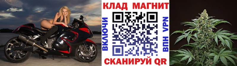 Псилоцибиновые грибы Мураши
