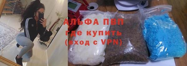 гидра Алзамай