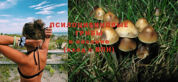 прущая мука Алексеевка