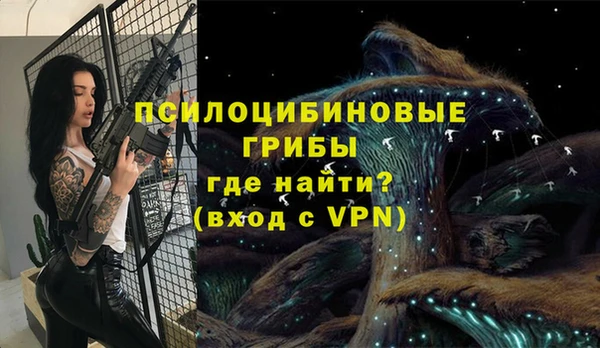 гидра Алзамай