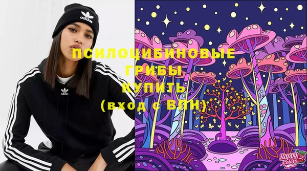 гидра Алзамай