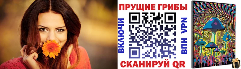 Псилоцибиновые грибы Psilocybe Мураши