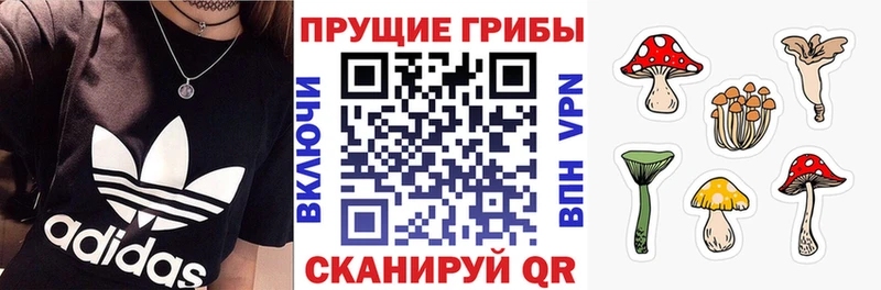 Галлюциногенные грибы Psilocybine cubensis  Мураши 